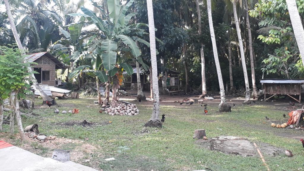 James Homestay Siquijor Εξωτερικό φωτογραφία